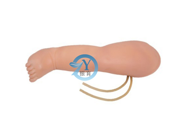 高级婴儿腿部静脉穿刺模型