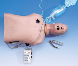 生命救护躯干模型(接互动心电图模拟器)-德国3B